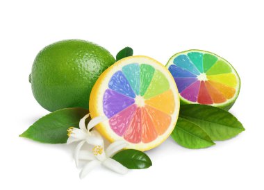 Taze limon ve beyaz arka planda gökkuşağı segmentleri olan limon. Hayatını aydınlat.
