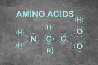 Açık gri taş yüzey üzerindeki AMINO ACIDS ve kimyasal formüle metin