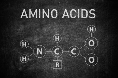AMINO ACIDS ve kimyasal formülü karatahtaya yazılsın. 