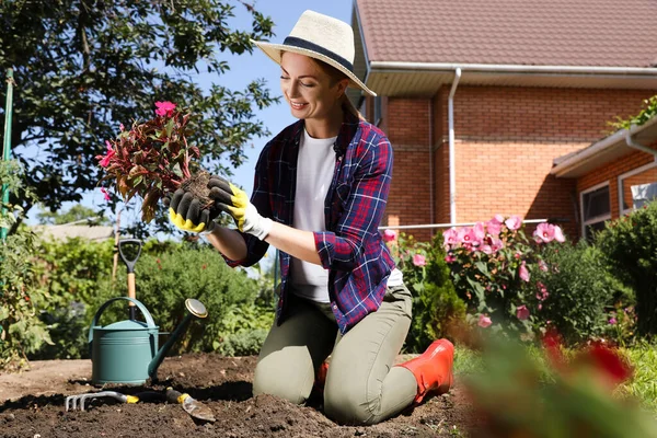 Mujer Plantando Flores Aire Libre Día Soleado Tiempo Jardinería — Foto de Stock