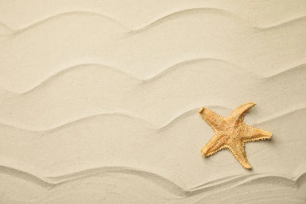 Krásná Mořská Hvězda Písku Výhled Shora Mezera Pro Text — Stock fotografie