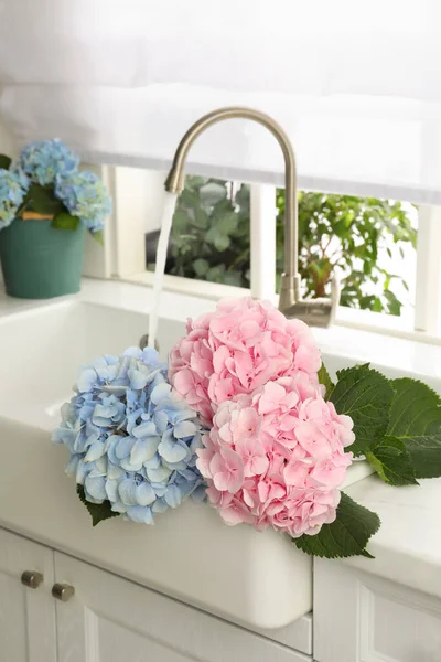 Krásné Světle Modré Růžové Hortensia Květiny Kuchyňském Dřezu — Stock fotografie