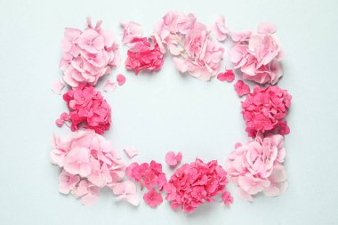 Açık mavi arkaplan üzerinde güzel hortensiya çiçekleri çerçevesi, düz yatıyordu. Metin için boşluk