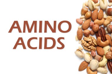 Beyaz arka planda farklı lezzetli fındıklar, düz yatış. Temel amino asit kaynakları 