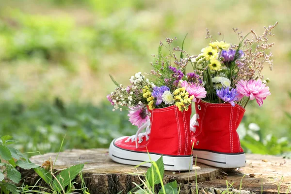 Lindas Flores Sapatos Toco Livre Espaço Para Texto — Fotografia de Stock