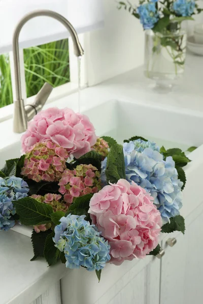 Красиві Світло Блакитні Рожеві Квіти Гортензії Кухонній Раковині — стокове фото