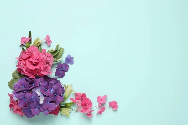 Όμορφα Λουλούδια Τυρκουάζ Φόντο Χώρος Για Κείμενο — Φωτογραφία Αρχείου
