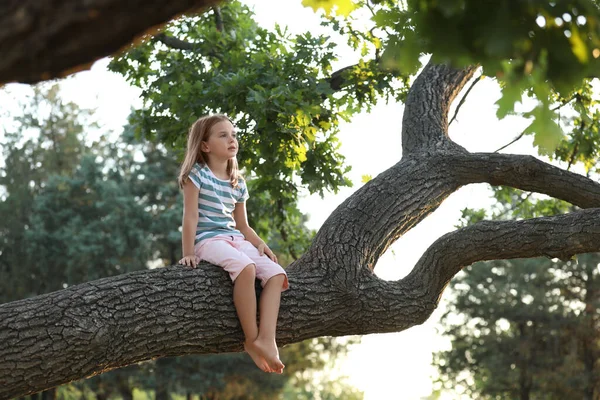 의나무 귀여운 자녀가 자연계에서 시간을 보내는 — 스톡 사진