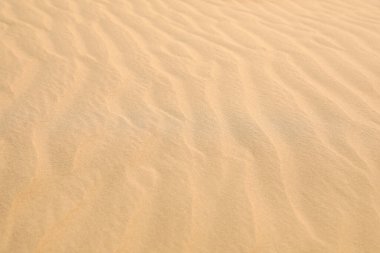 Çöldeki dalgalı kumlu yüzeyi arka plan olarak görmek güzel.