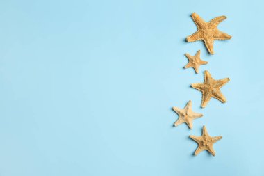 Açık mavi arka planda güzel deniz yıldızları, düz yatıyordu. Metin için boşluk