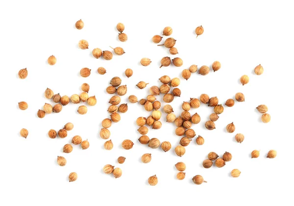 Scattered Dried Coriander Seeds White Background Top View — Stock Photo, Image