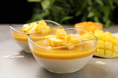 Mango soslu lezzetli panna cotta ve gri masada taze meyve parçaları.
