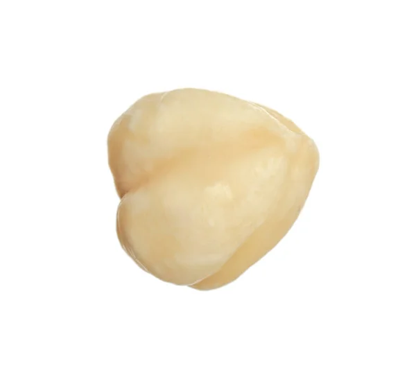 Tasty Organic Hazelnut Isolated White Healthy Snack — Stock Photo, Image