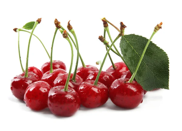 Cerises Fraîches Mûres Avec Des Gouttes Eau Sur Fond Blanc — Photo