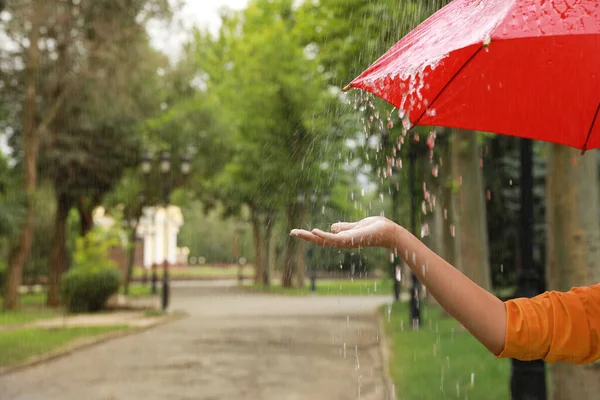 Giovane Donna Con Ombrello Sotto Pioggia Nel Parco Primo Piano — Foto Stock