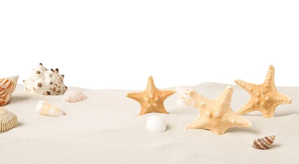 Lindas Estrelas Mar Conchas Areia Sobre Fundo Branco — Fotografia de Stock