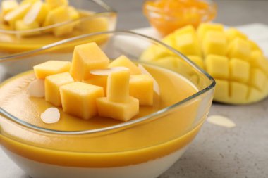 Mango soslu lezzetli panna cotta ve gri masada taze meyve parçaları, yakın plan.