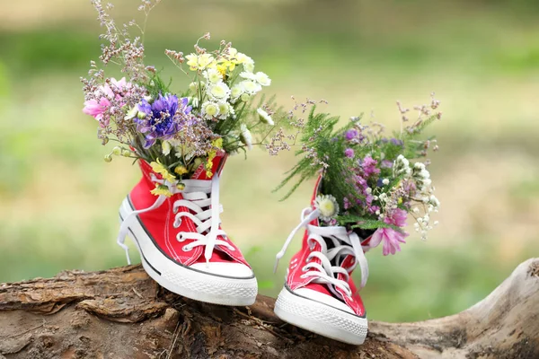 Lindas Flores Sapatos Log Livre — Fotografia de Stock