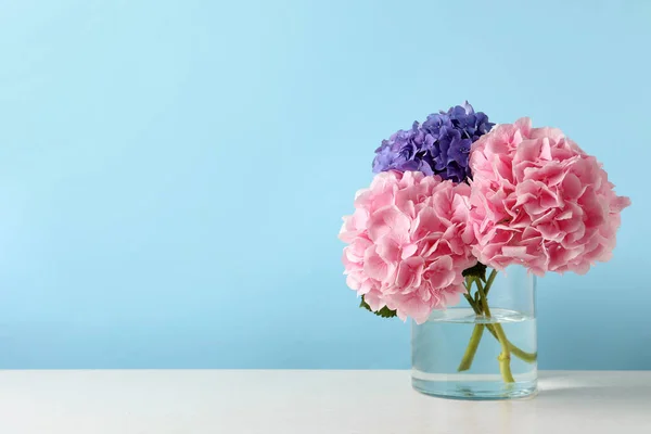 Açık Mavi Arka Planda Beyaz Masada Güzel Hortensiya Çiçekleri Olan — Stok fotoğraf