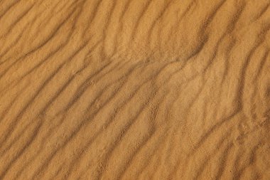 Arkaplan olarak çöldeki kum tepeciklerinin yakın görüntüsü