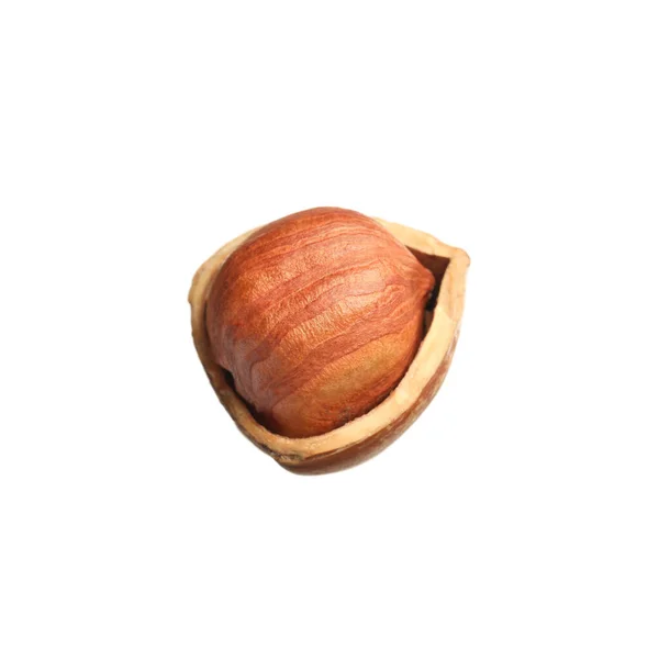 Tasty Hazelnut Shell Isolated White — Stock Photo, Image