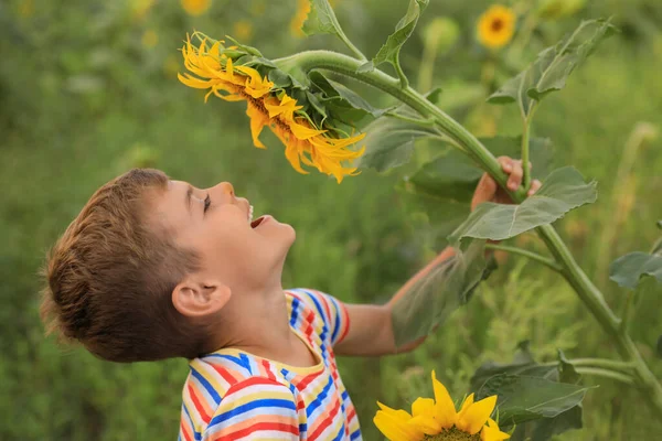 Tarlada Çiçek Açan Küçük Tatlı Bir Çocuk Çocuk Doğada Vakit — Stok fotoğraf