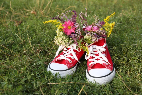 Sapatos Com Belas Flores Grama Livre — Fotografia de Stock