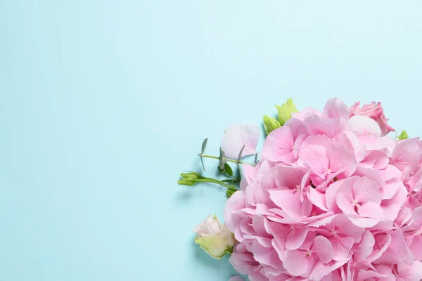 Όμορφα Λουλούδια Ορτανσία Γαλάζιο Φόντο Επίπεδη Θέσει Χώρος Για Κείμενο — Φωτογραφία Αρχείου
