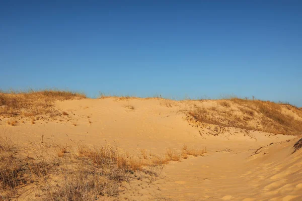 Picturesque View Desert Sunny Day — Stock Photo, Image