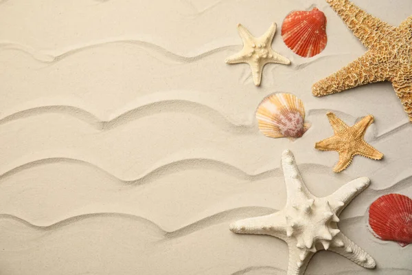 Prachtige Zeesterren Schelpen Zand Vlak Gelegd Ruimte Voor Tekst — Stockfoto