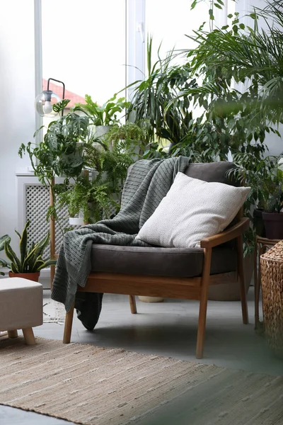 快適なアームチェアと部屋の美しい観葉植物 ラウンジエリア内 — ストック写真