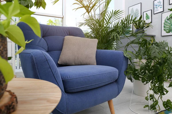 Wygodny Fotel Piękne Rośliny Pokoju Wnętrze Salonu — Zdjęcie stockowe