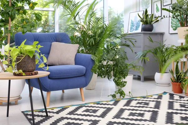 Cómodo Sillón Hermosas Plantas Interior Habitación Sala Estar Interior — Foto de Stock
