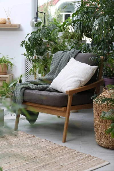 Bequeme Sessel Und Schöne Zimmerpflanzen Zimmer Innenraum Lounge — Stockfoto