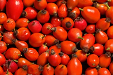 Arka plan olarak olgun gül böğürtlen, üst görünüm