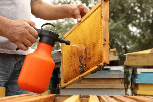 Пчеловод Поливает Сахарной Водой Раму Пчелами Пасеке Крупным Планом Сбор — стоковое фото