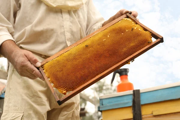 Пчеловод Ульем Пасеке Крупным Планом Сбор Меда — стоковое фото