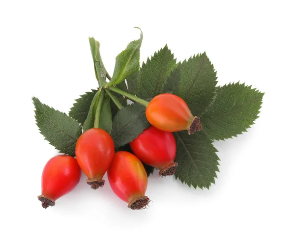 Ripe Rose Hip Berry Green Leaves White Background Top View — Stok Foto