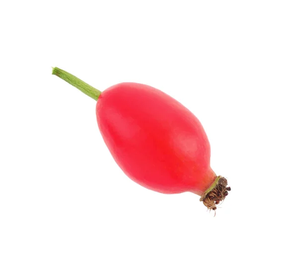 Ripe Rose Hip Berry Isolated White Top View — Stok Foto