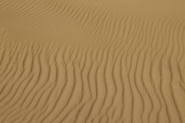 Крупный План Песчаной Дюны Пустыне Заднем Плане — стоковое фото