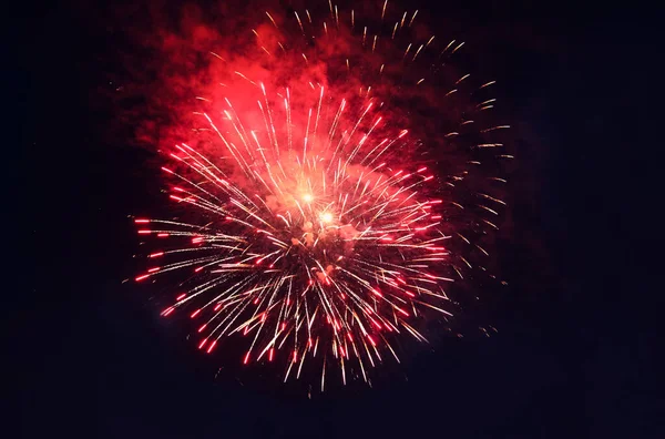 Beautiful bright firework lighting up night sky