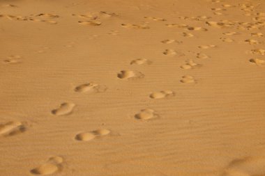 Çölde kumdaki ayak izleri.