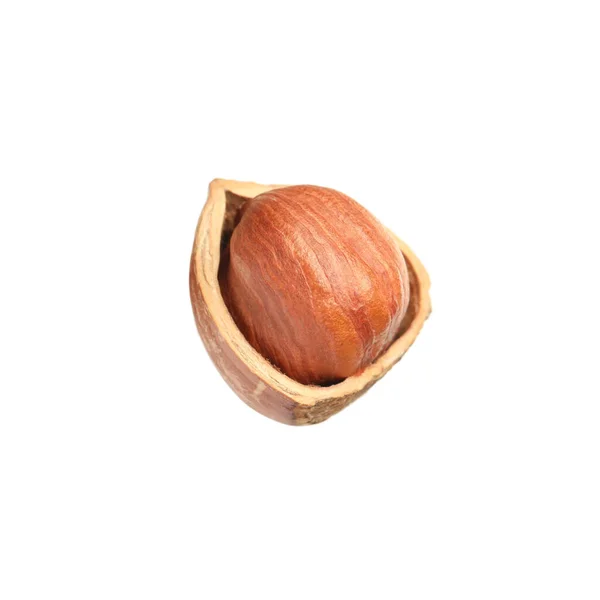 Tasty Hazelnut Shell Isolated White — Stock Photo, Image