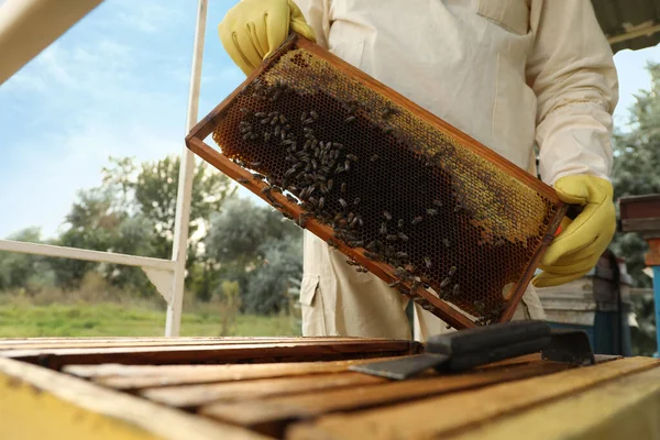 養蜂家は蜂蜜のフレームと一致しています — ストック写真