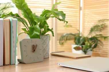 Saati, bilgisayarı ve ev bitkisi olan rahat bir iş yeri.