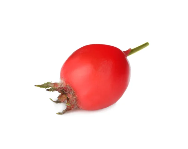 Ripe Rose Hip Berry Isolated White — Stock Photo, Image