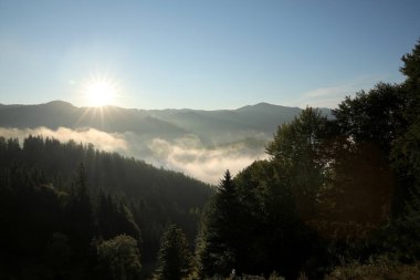 Gün doğumunda sisle kaplı dağların güzel manzarası