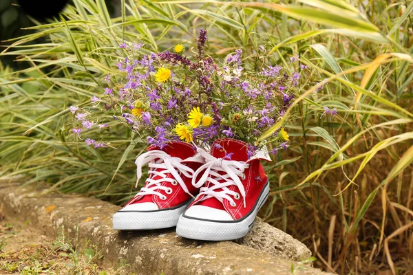 Sapatos Vermelhos Com Belas Flores Selvagens Parque — Fotografia de Stock