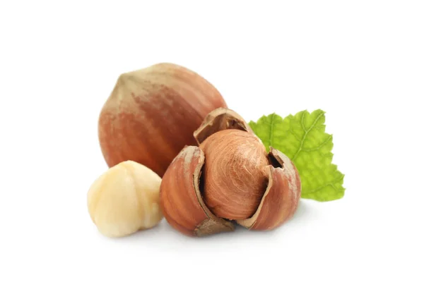 Chutné Organické Lískové Ořechy List Bílém Pozadí — Stock fotografie