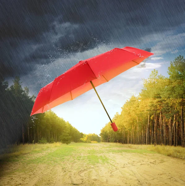 森の中で大雨の下で赤い傘を開く — ストック写真